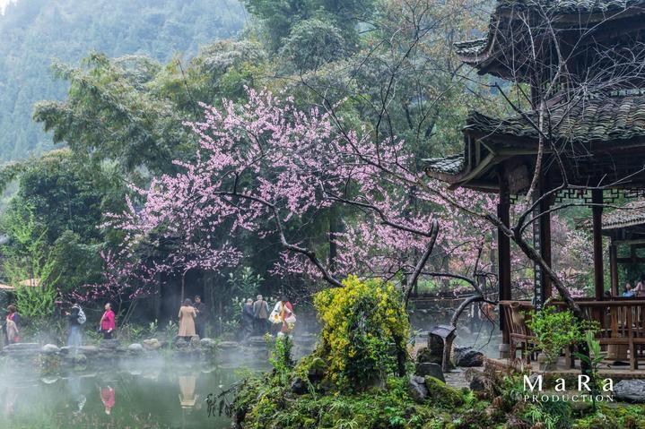 fmq在蔚来企业表示什么意思,解答你的所有疑问